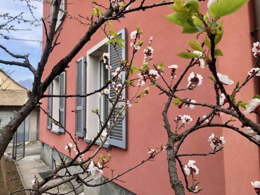 Giuditta Freecarpark&Garden Домодоссола Экстерьер фото